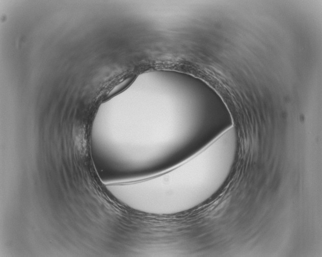 X0000088461252200705220927