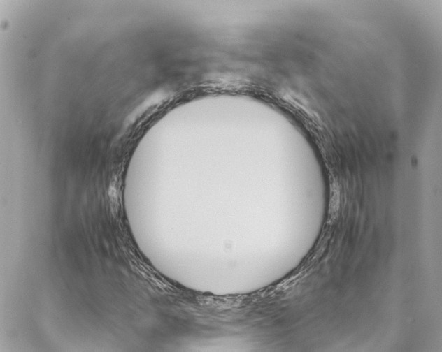 X0000088461254200705220927