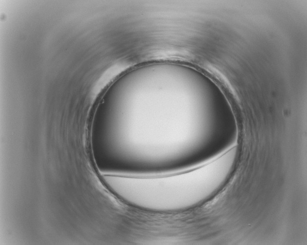 X0000088461277200705220926