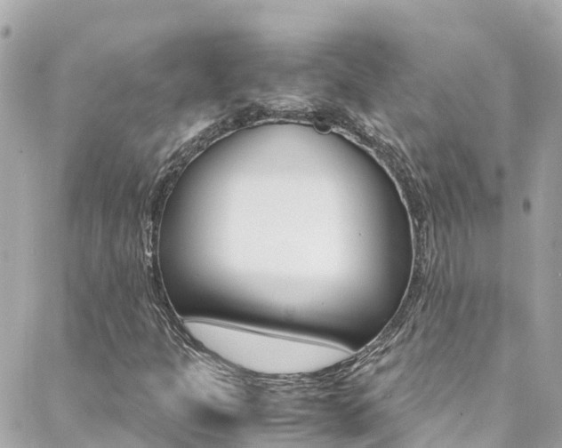 X0000088461301200705220925