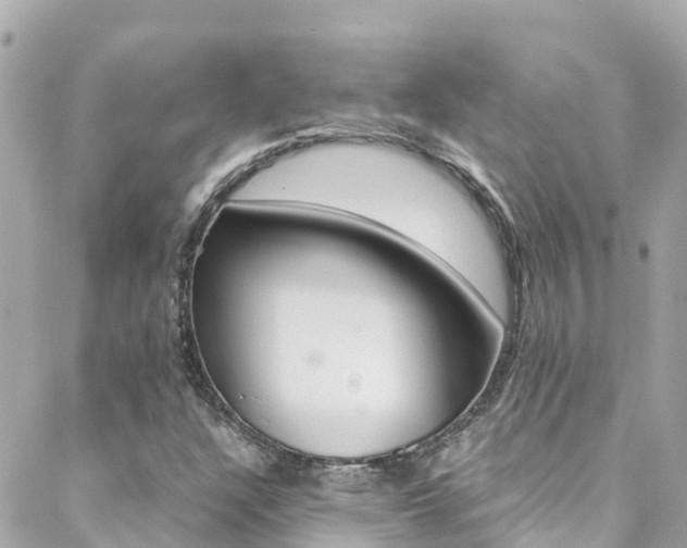 X0000088461304200705220925