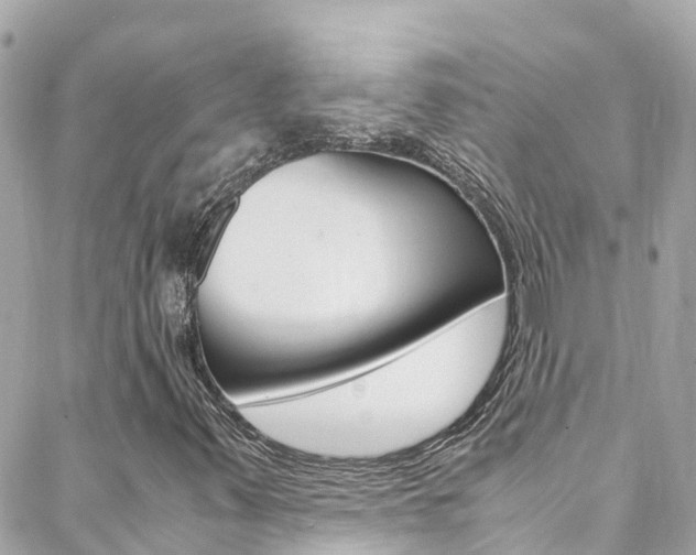 X0000088461347200705220925