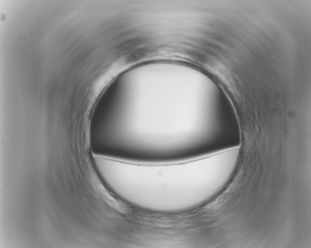 X0000088461371200705220925