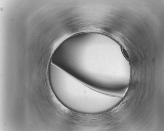 X0000088461387200705220925