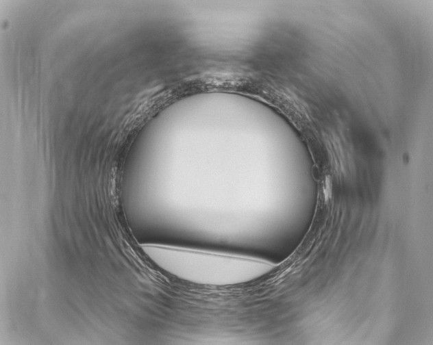X0000088461396200705220924