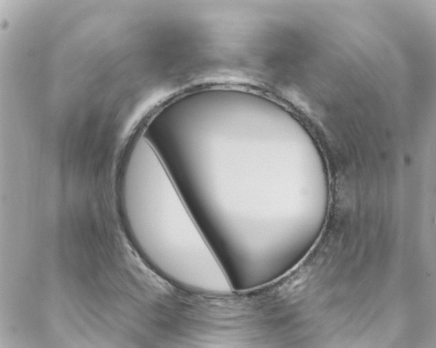 X0000088461408200705220924