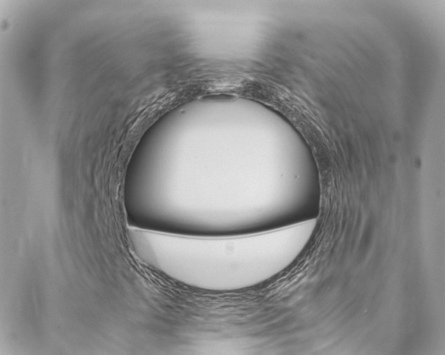 X0000088461441200705220924