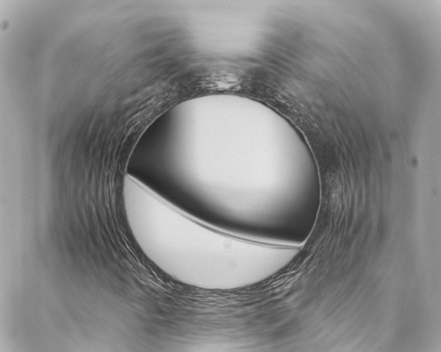 X0000088461442200705220924