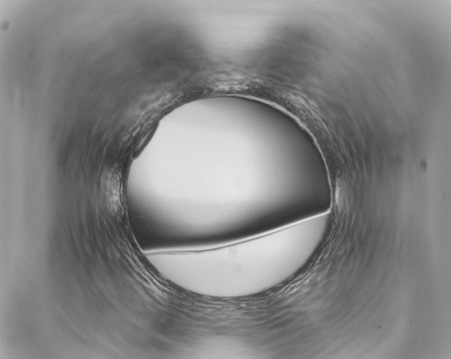 X0000088461444200705220924
