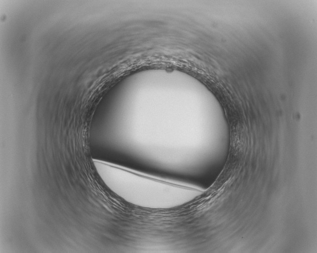 X0000088461490200705220922