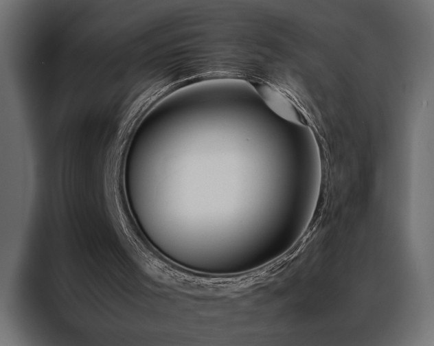 X0000088460001200705221352