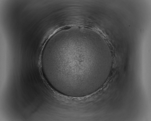 X0000088460002200705221352