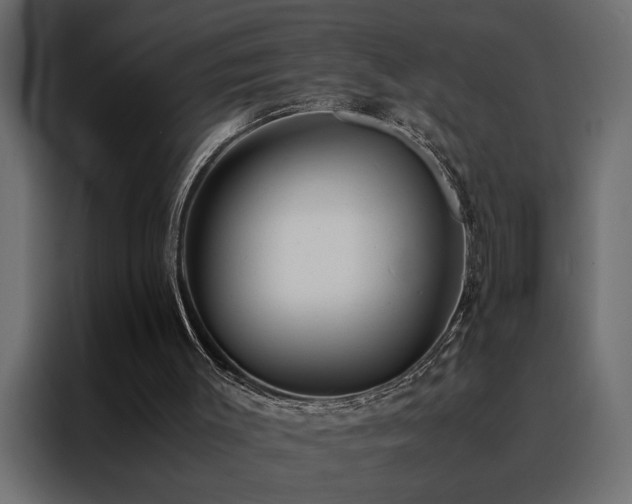 X0000088460003200705221352