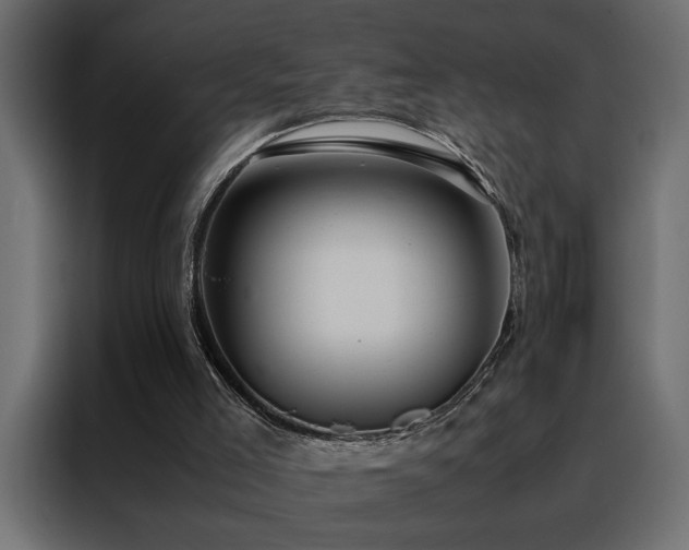 X0000088460005200705221352