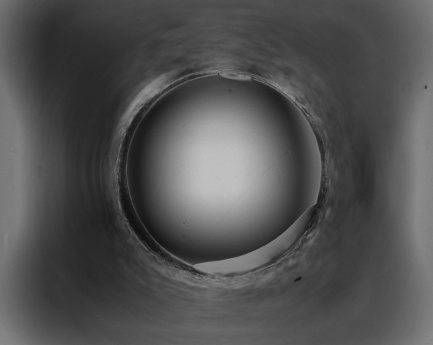 X0000088460007200705221352