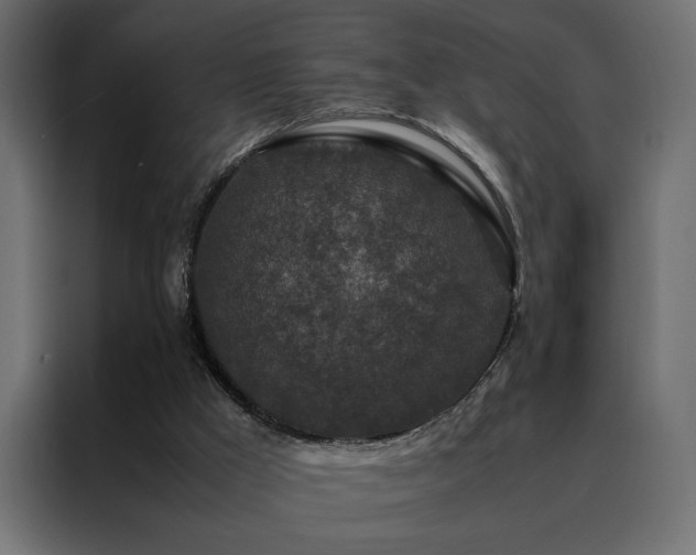 X0000088460009200705221352