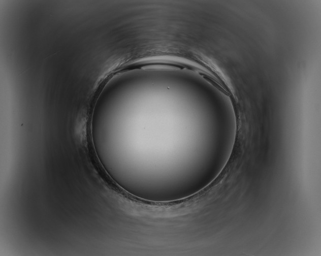 X0000088460010200705221352