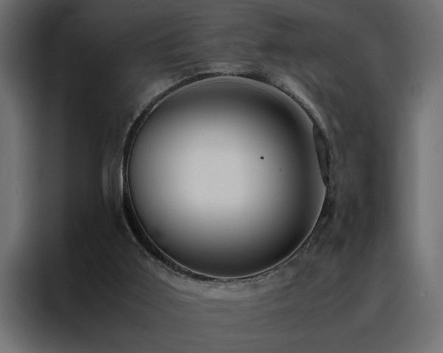 X0000088460011200705221352