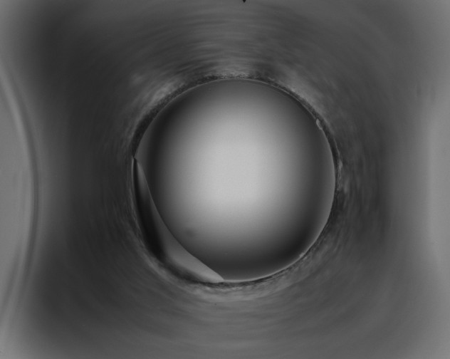 X0000088460013200705221352