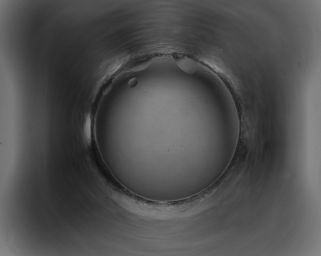 X0000088460014200705221352