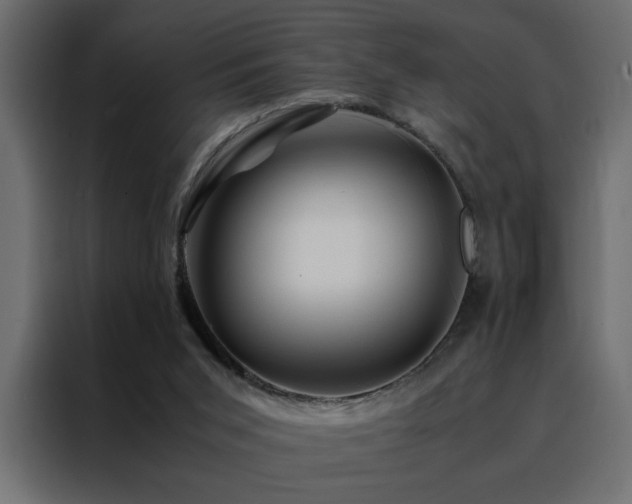X0000088460015200705221352