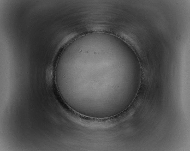 X0000088460016200705221352