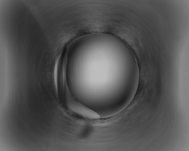 X0000088460017200705221352