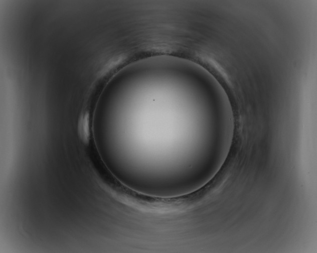 X0000088460020200705221352