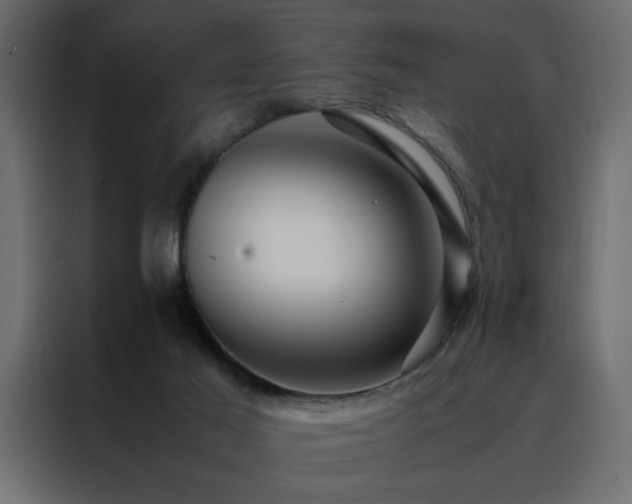 X0000088460021200705221352