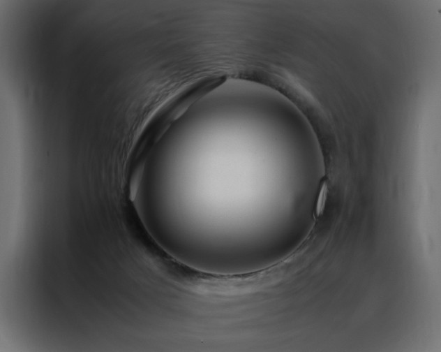 X0000088460025200705221352