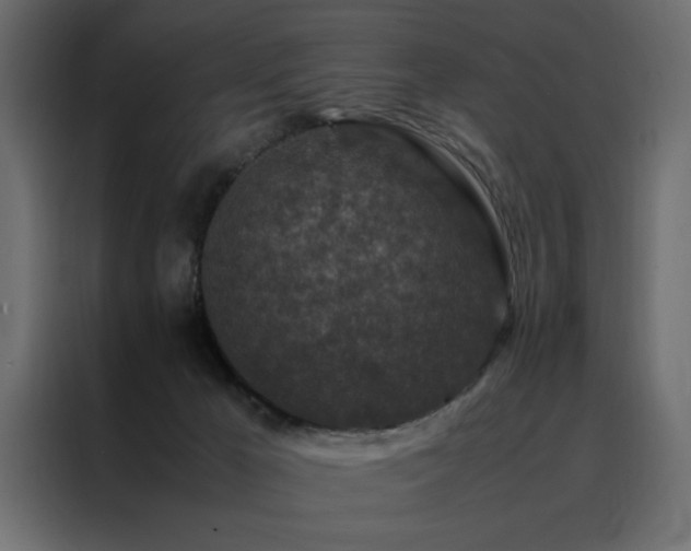 X0000088460029200705221351