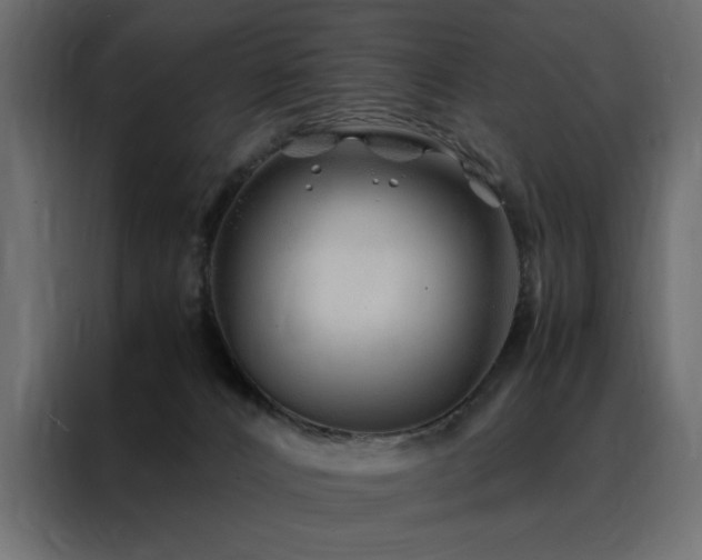 X0000088460032200705221351
