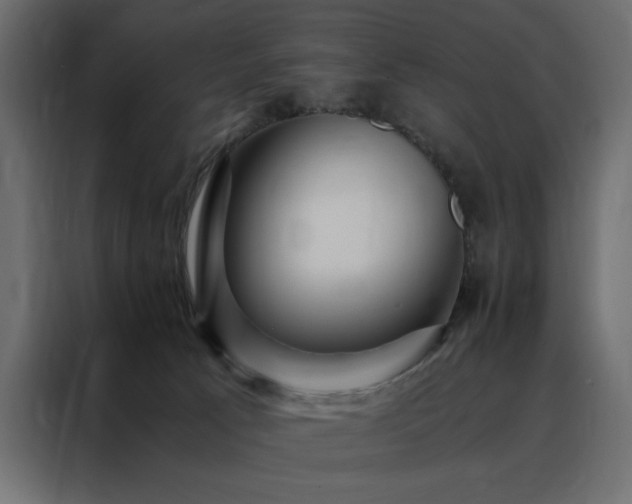 X0000088460033200705221351