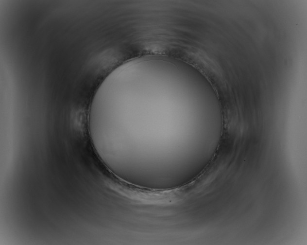 X0000088460036200705221351