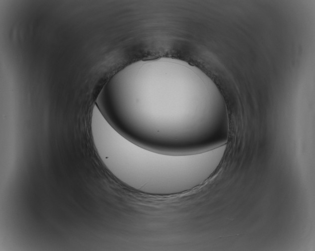 X0000088460037200705221351