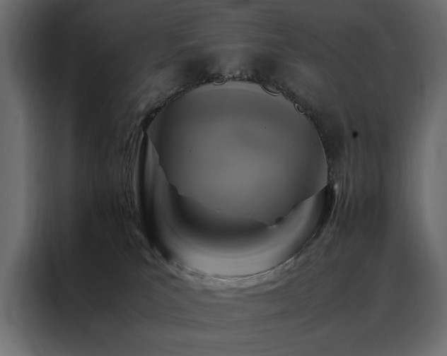 X0000088460039200705221351