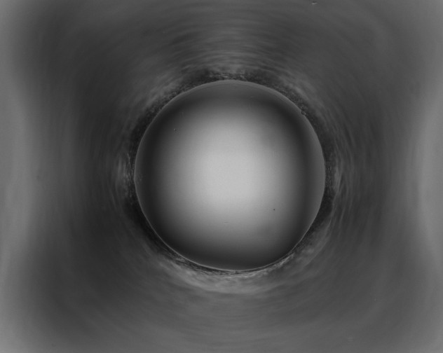X0000088460040200705221351