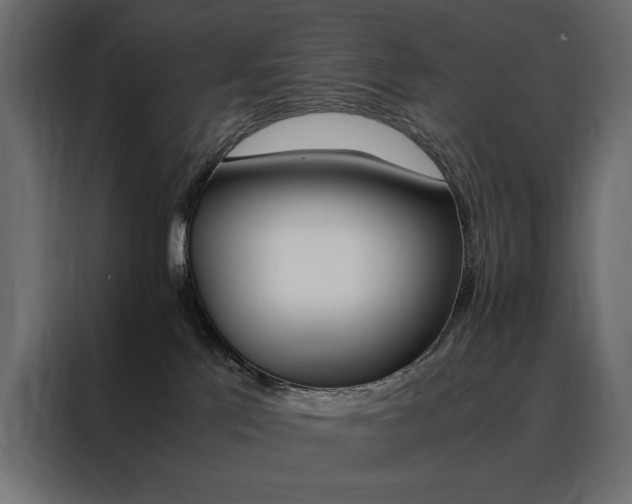 X0000088460041200705221351