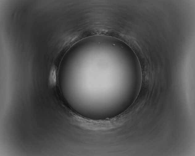 X0000088460042200705221351
