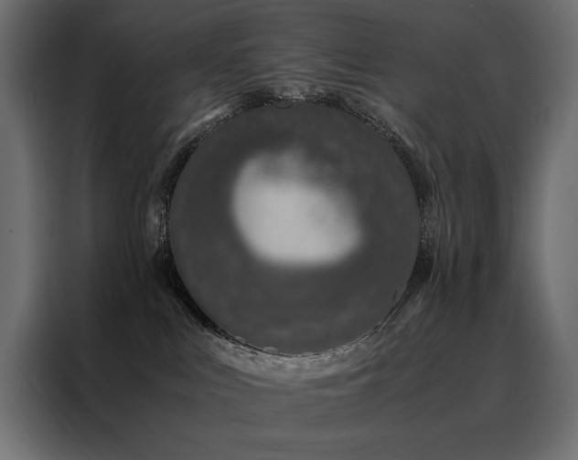 X0000088460043200705221351