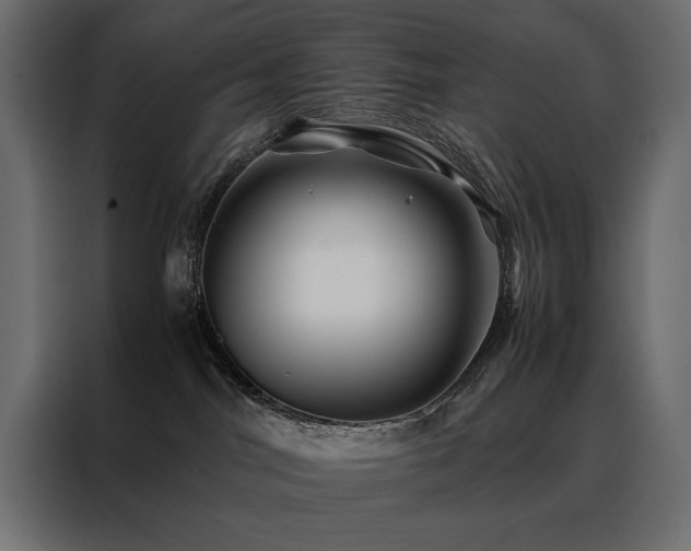 X0000088460044200705221351