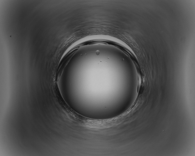 X0000088460045200705221351