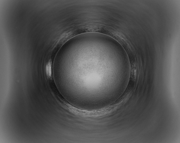 X0000088460046200705221351