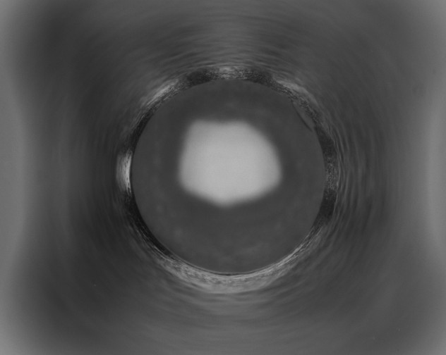 X0000088460047200705221351