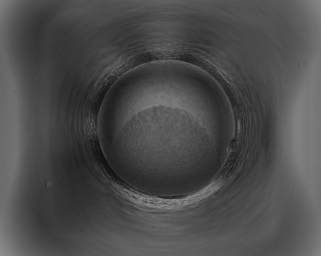 X0000088460048200705221351