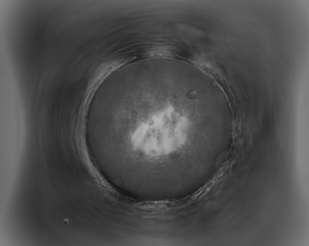 X0000088460049200705221351