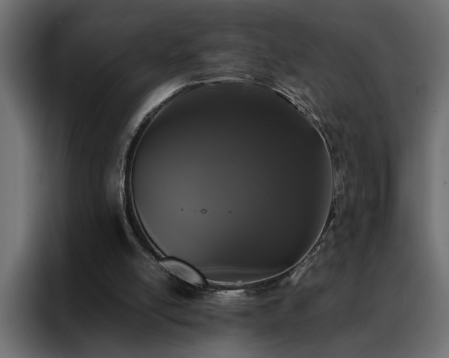 X0000088460054200705221351