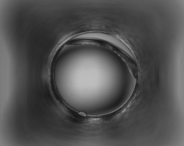 X0000088460055200705221351