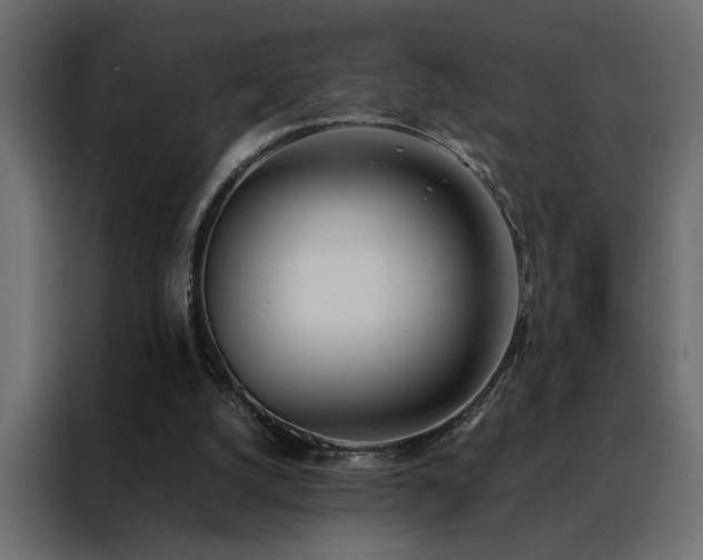 X0000088460056200705221351