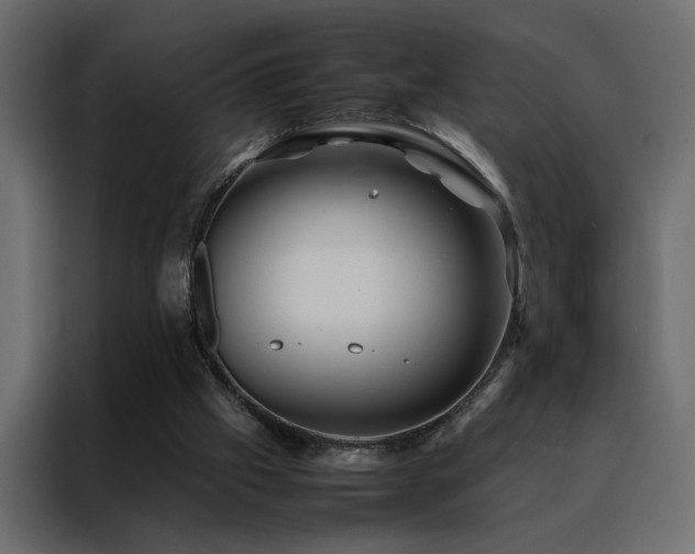 X0000088460057200705221351